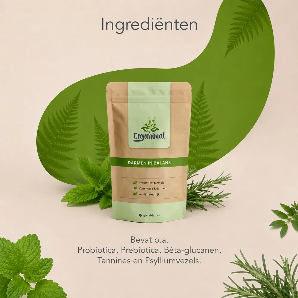 Darmen In Balans - Katten - Afbeelding 4
