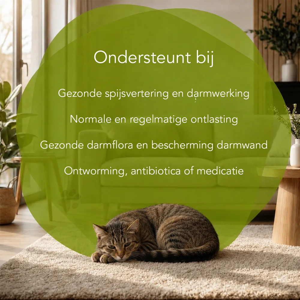Darmen In Balans - Katten - Afbeelding 3
