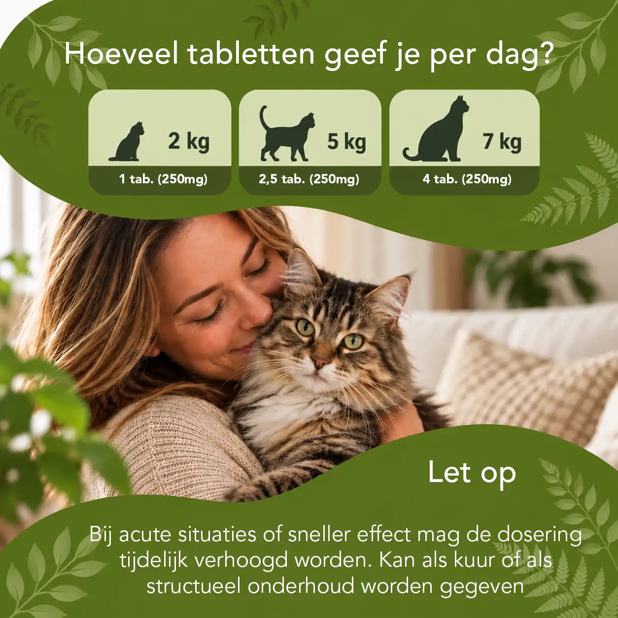 Darmen In Balans - Katten - Afbeelding 5