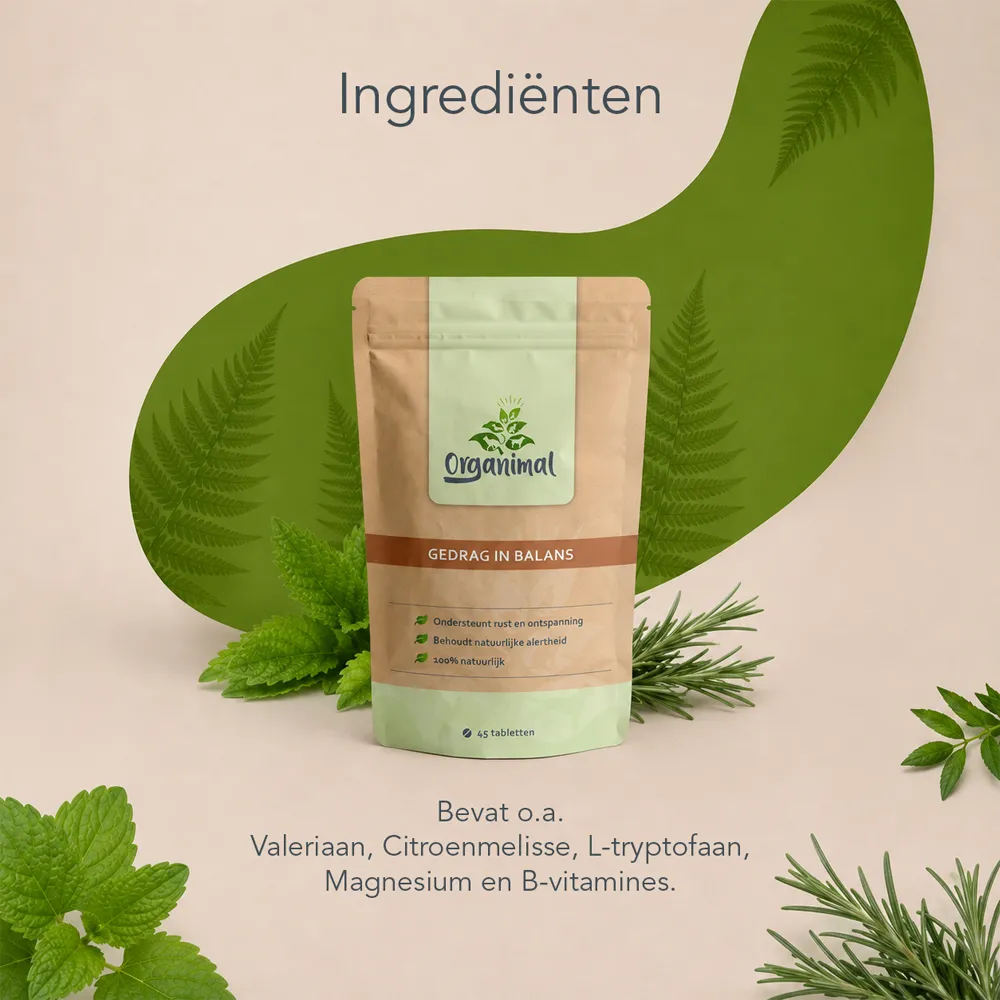 Gedrag In Balans - Katten - Afbeelding 5