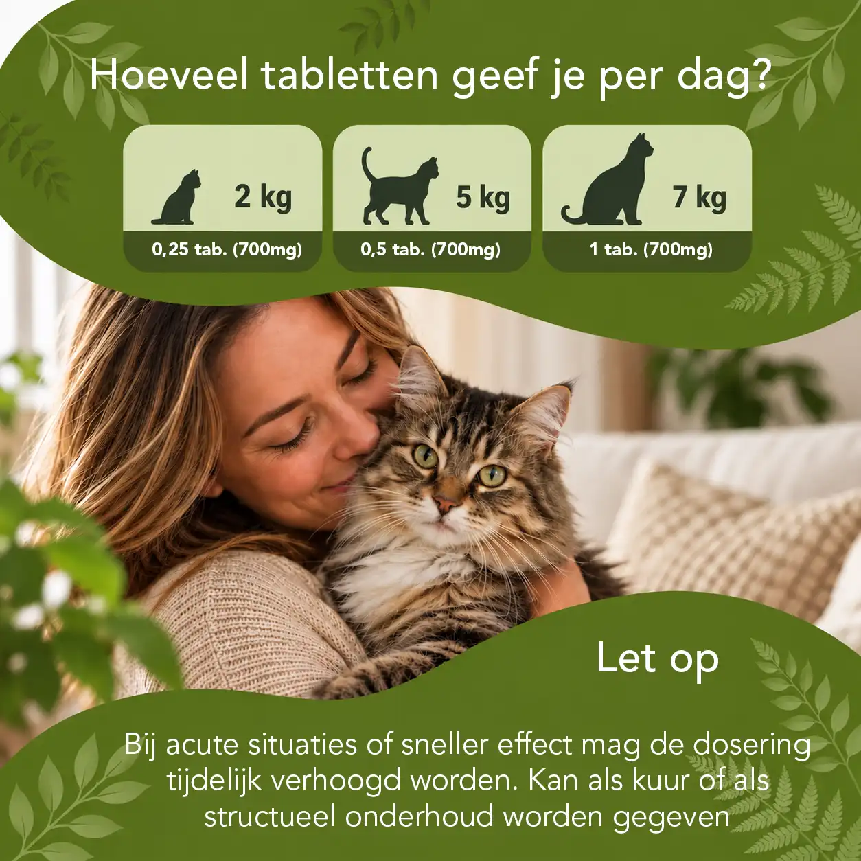 Organimal Senior - Katten - Afbeelding 5