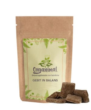 Gebit in Balans - Honden