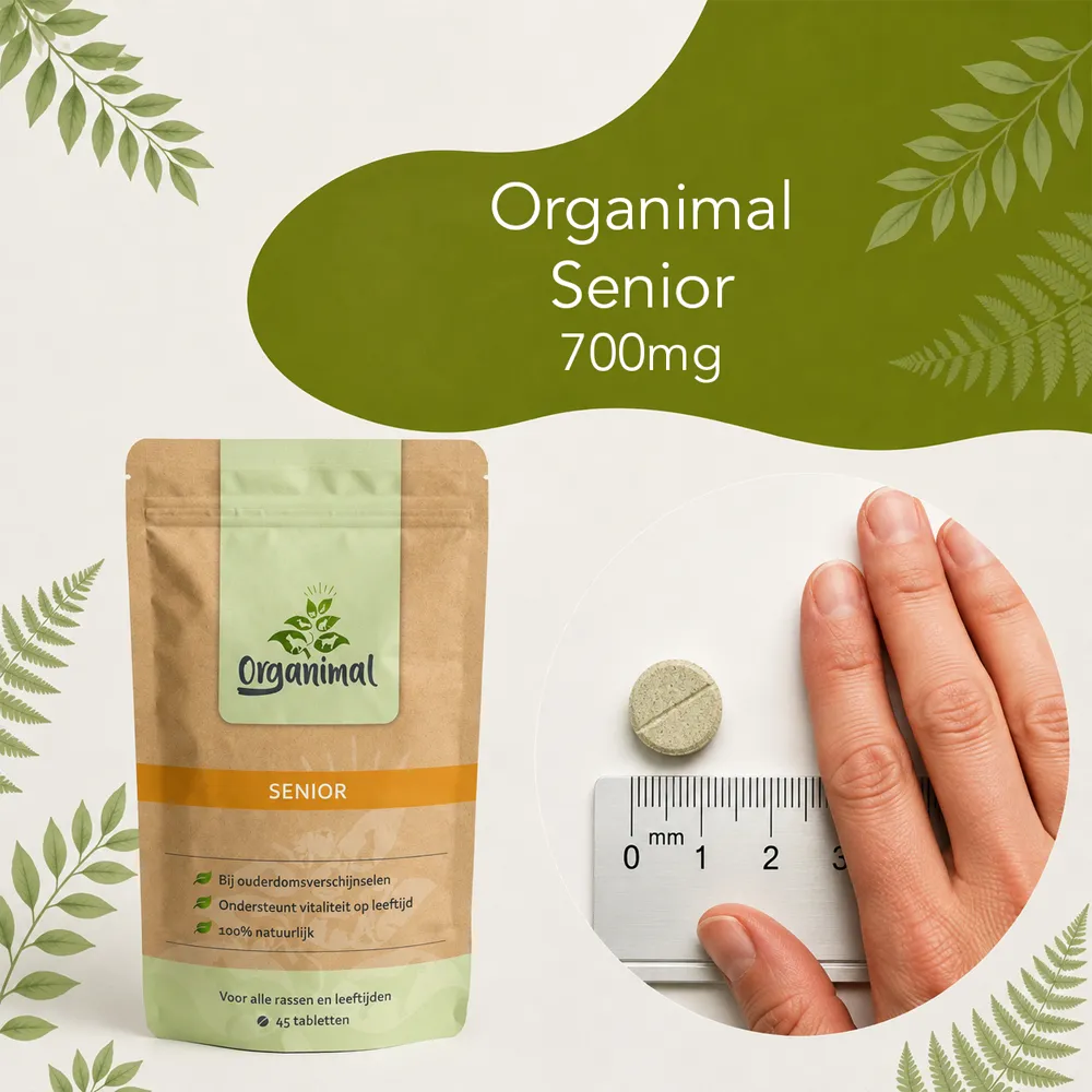 Organimal Senior - Katten - Afbeelding 6