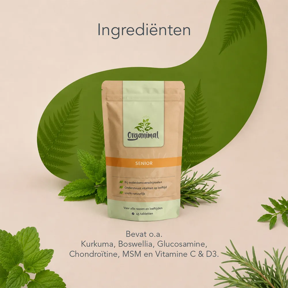 Organimal Senior - Katten - Afbeelding 4