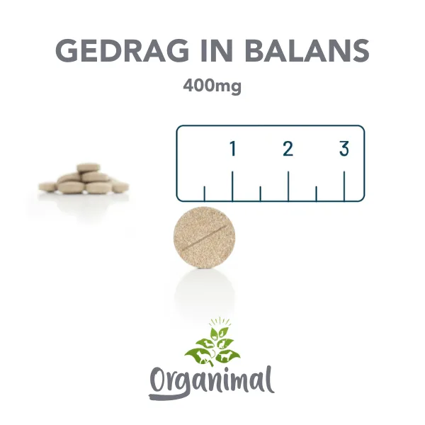 Gedrag In Balans - Honden - Afbeelding 3