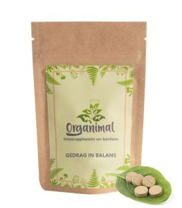 Gedrag In Balans - Honden