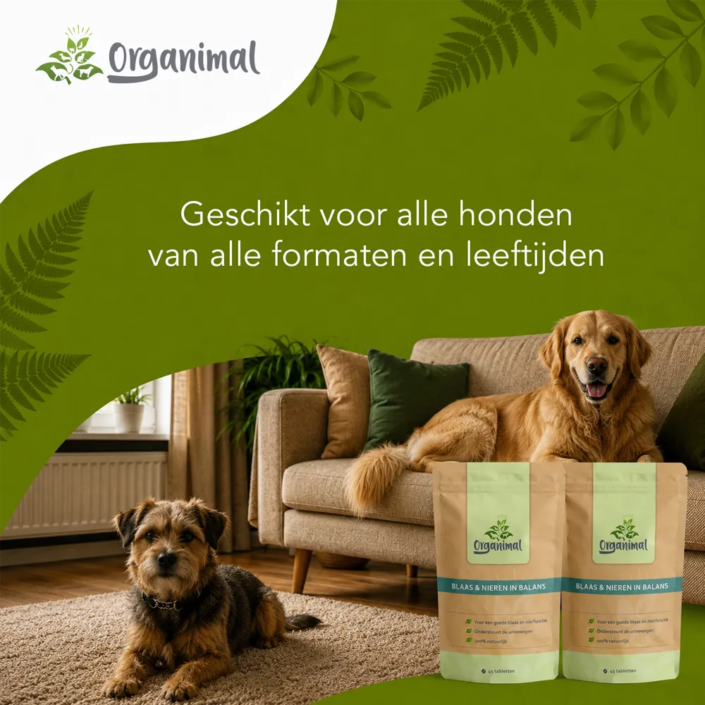 Organimal Blaas & Nieren In Balans - Honden - Afbeelding 8