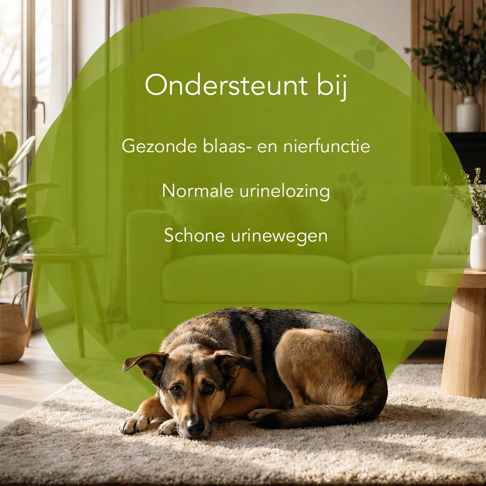 Organimal Blaas & Nieren In Balans - Honden - Afbeelding 4