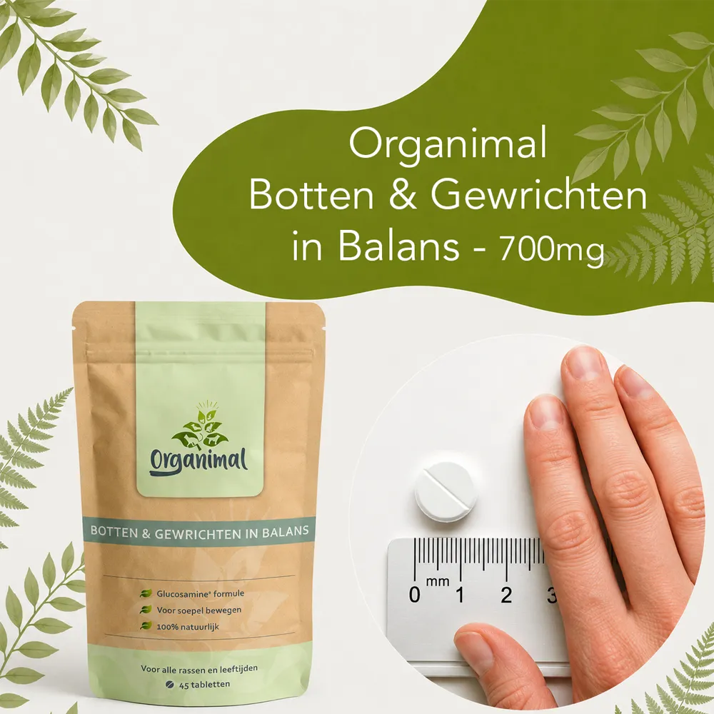 Organimal Botten & Gewrichten in Balans - Honden - Afbeelding 6