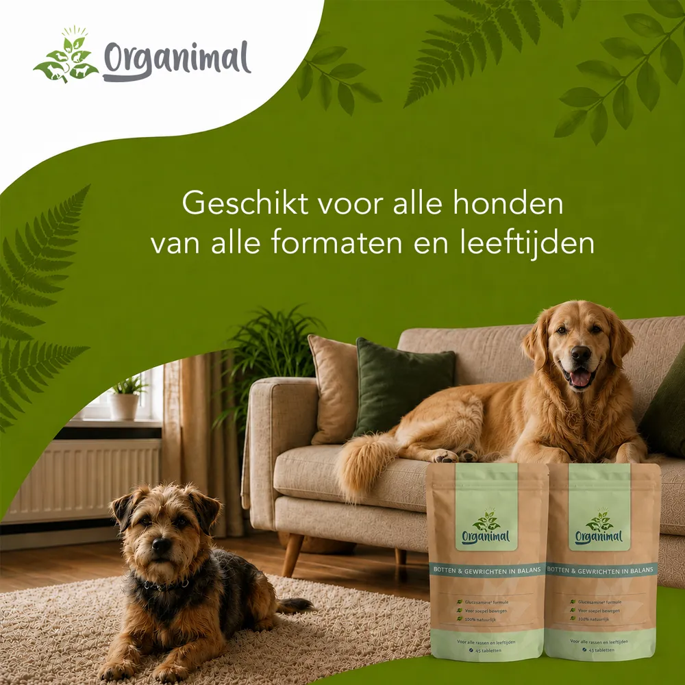 Organimal Botten & Gewrichten in Balans - Honden - Afbeelding 7