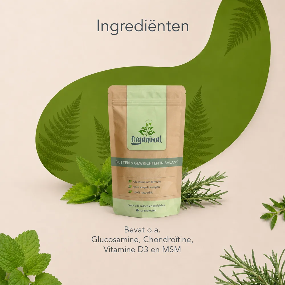 Organimal Botten & Gewrichten in Balans - Honden - Afbeelding 5