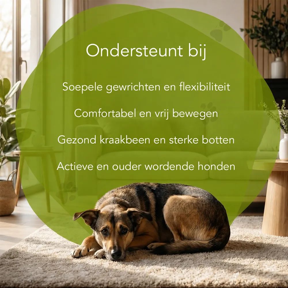 Organimal Botten & Gewrichten in Balans - Honden - Afbeelding 3