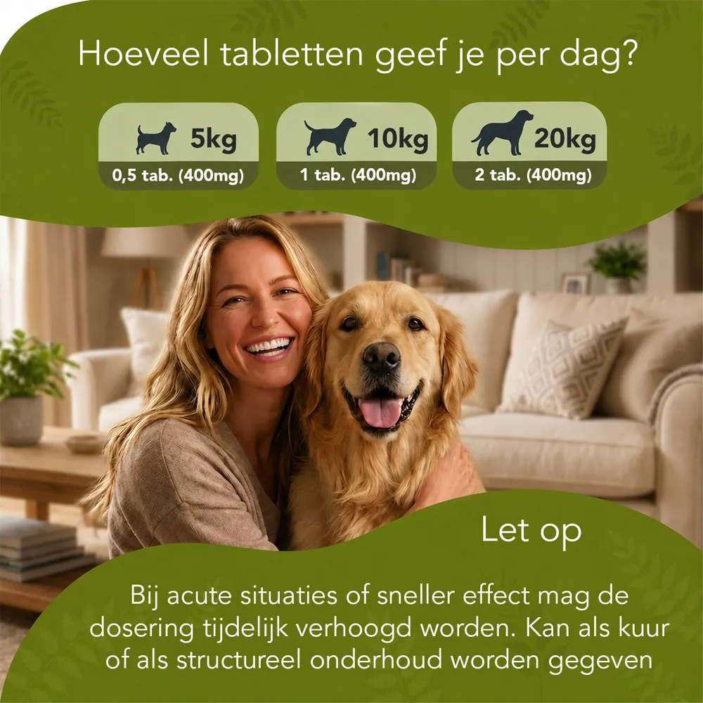 Gedrag In Balans - Honden - Afbeelding 6