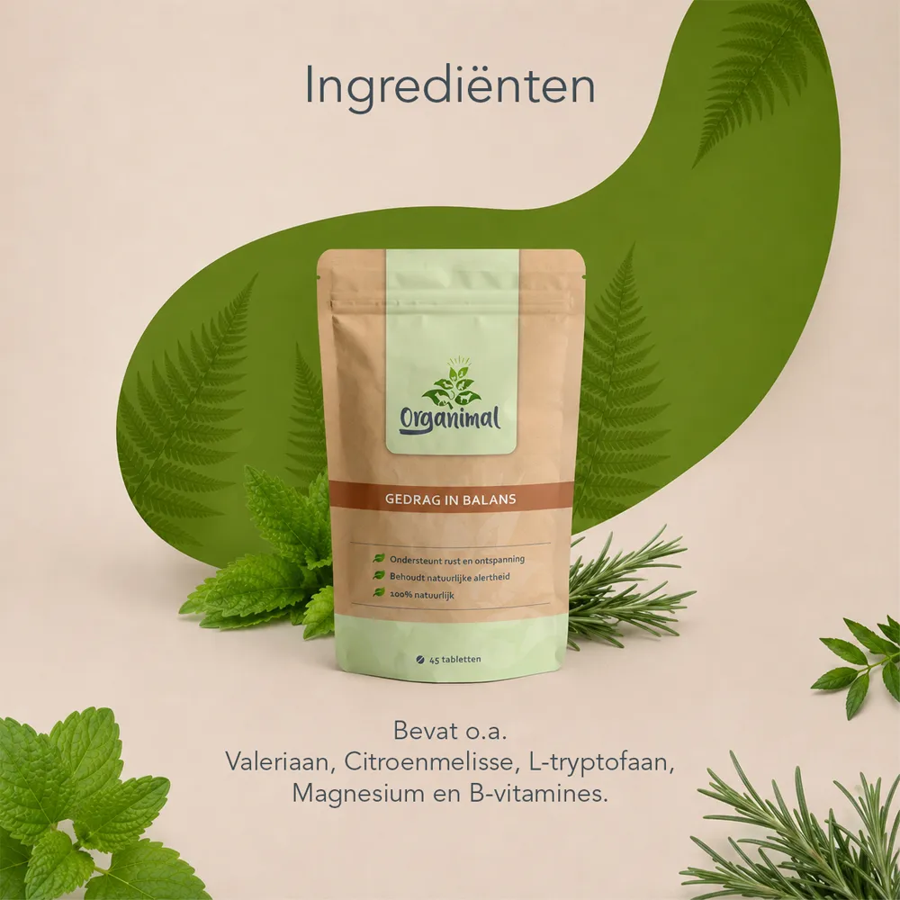 Gedrag In Balans - Honden - Afbeelding 4