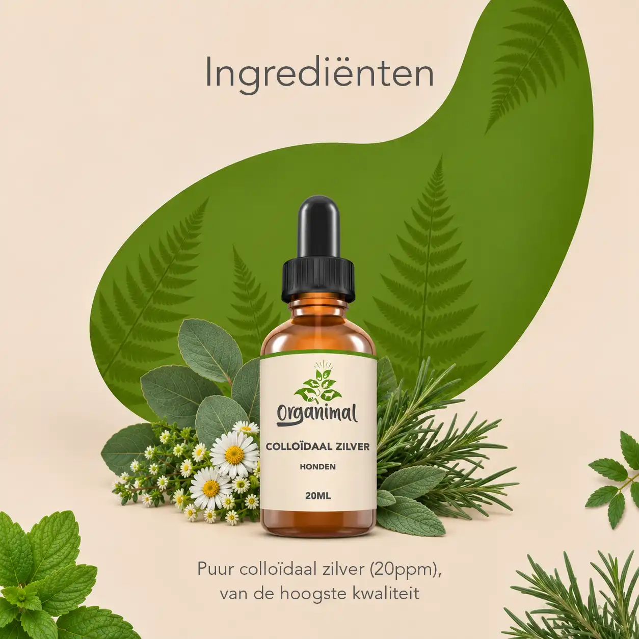 Organimal Colloïdaal Zilver - Honden - Afbeelding 3