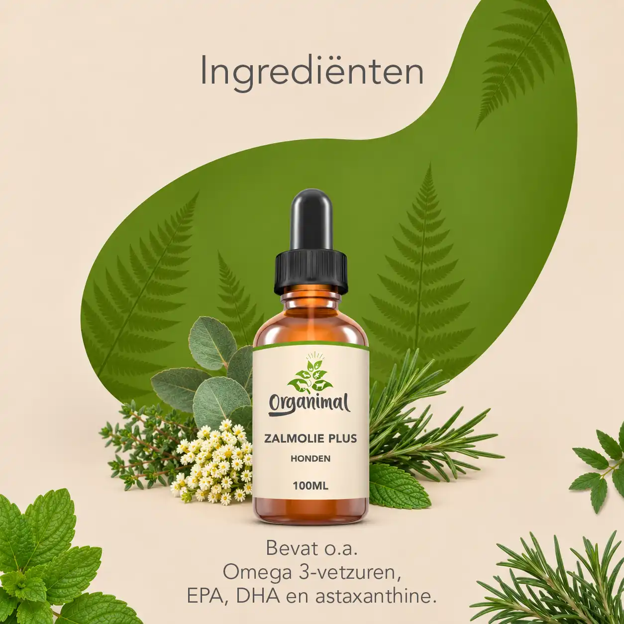 Organimal Zalmolie Plus - Honden - Afbeelding 3