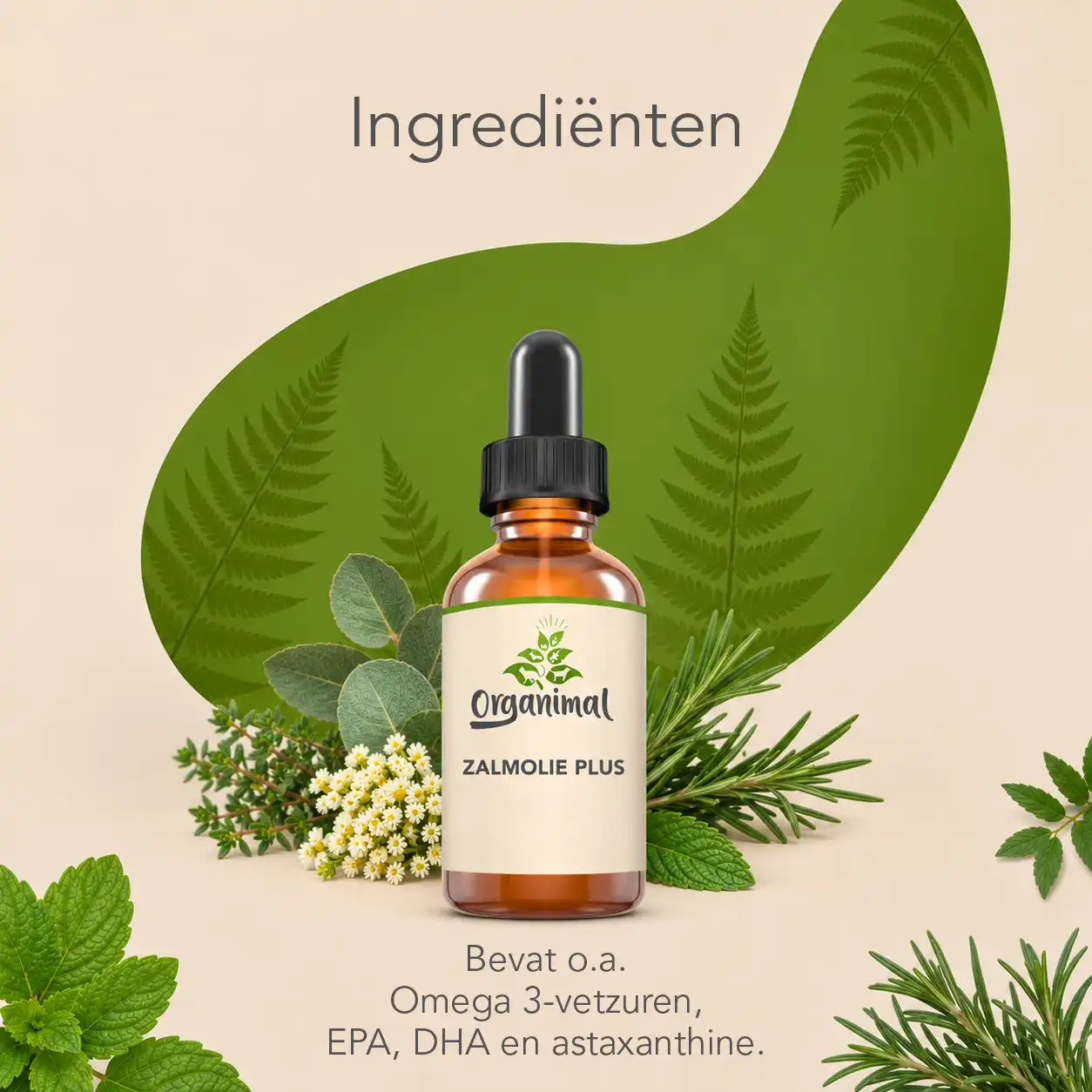 Organimal Zalmolie Plus - Katten - Afbeelding 3