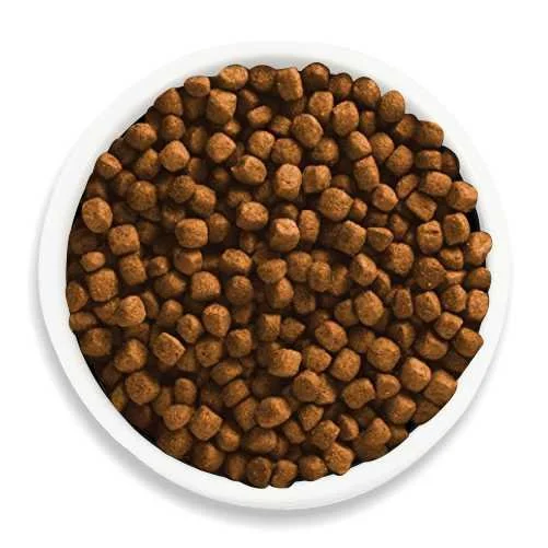 Organimal graanvrije kattenbrok met zalm