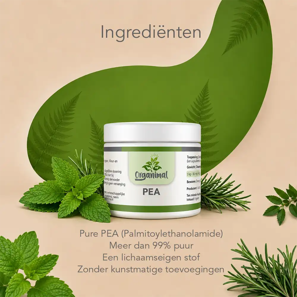 Organimal PEA - Kat - Afbeelding 3
