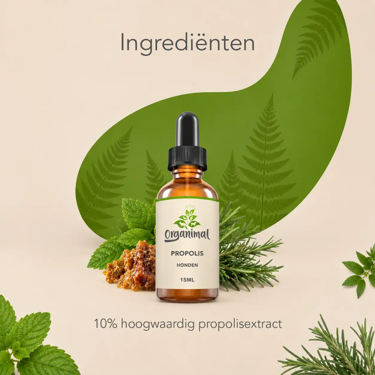 Organimal Propolis - Honden - Afbeelding 3