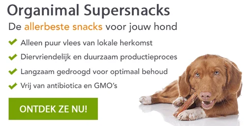 vis voor hond - snurk vissnacks - gedroogde vis hond - hondensnacks vis voor hond - snurk vissnacks - gedroogde vis hond - hondensnacks