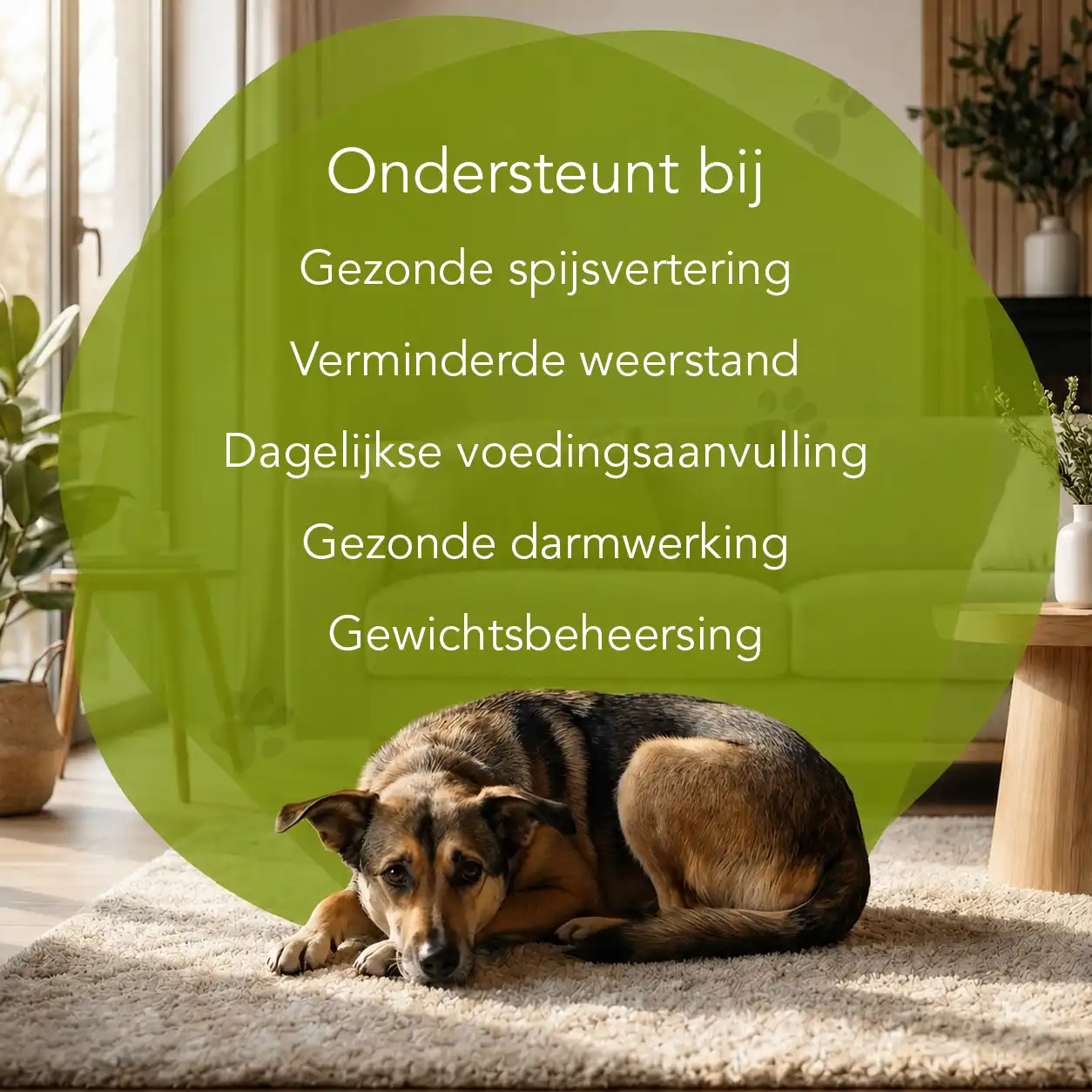 Organimal Vegamix - Afbeelding 2