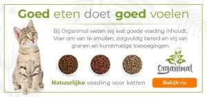 hoeveel brokken kat