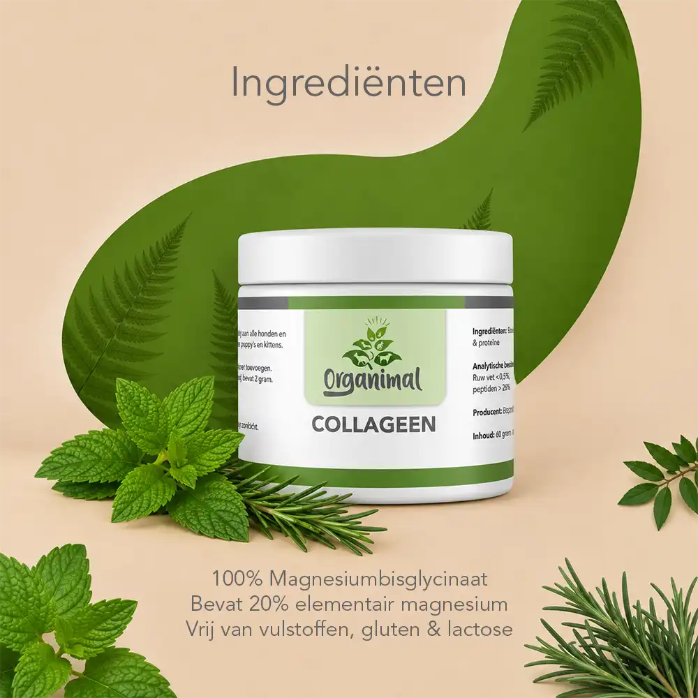 Organimal Collageen - Katten - Afbeelding 3