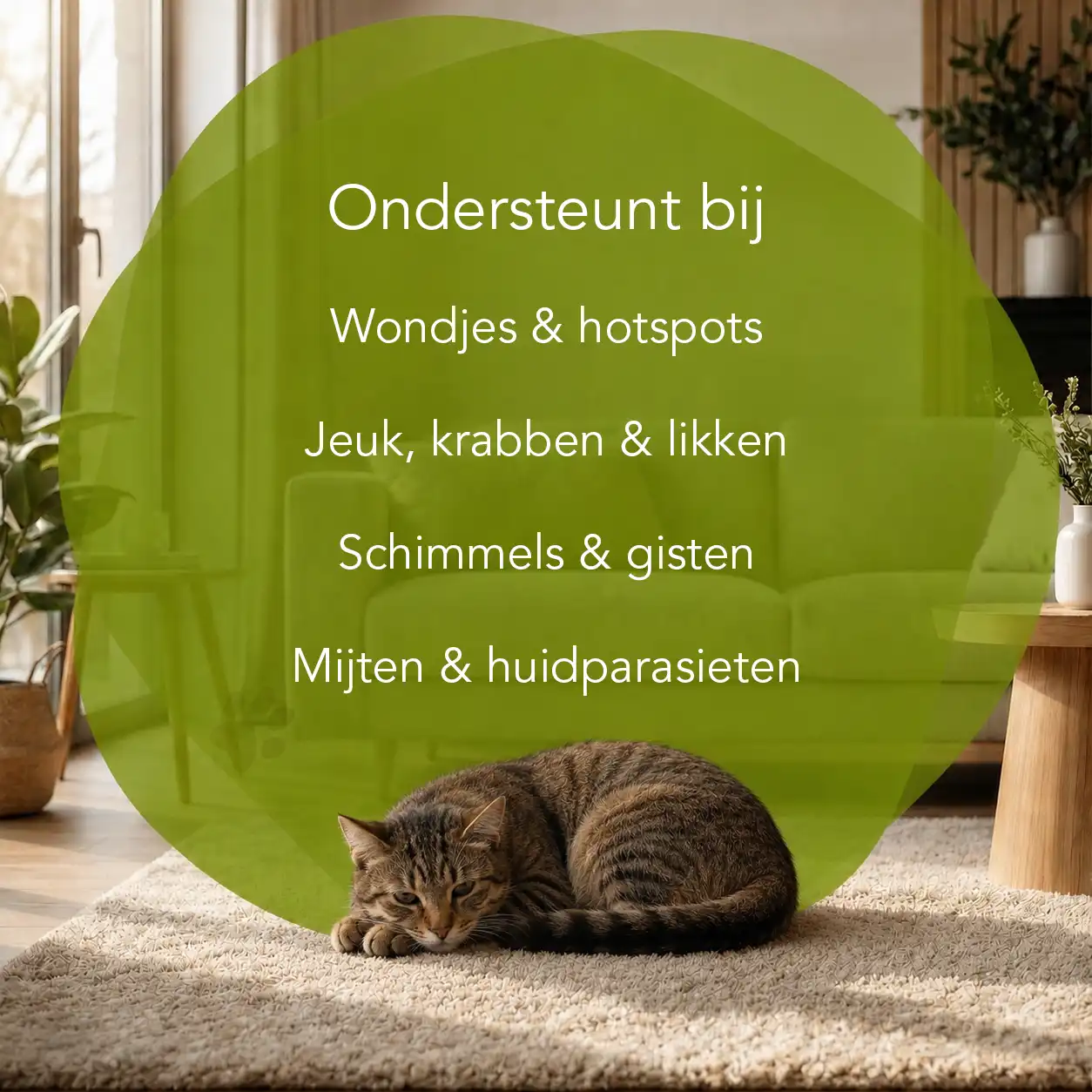 Organimal Huidspray - Kat - Afbeelding 2