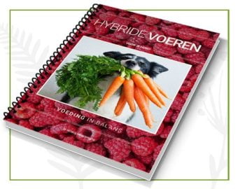 e book hybride voeren