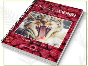 e book hybride voeren voor kat