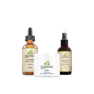 hotspotpakket voor kat