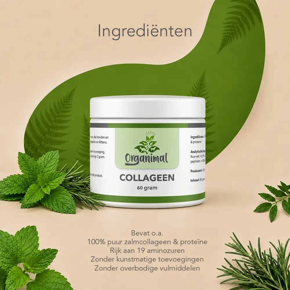 Organimal Darmpakket - Katten - Afbeelding 5