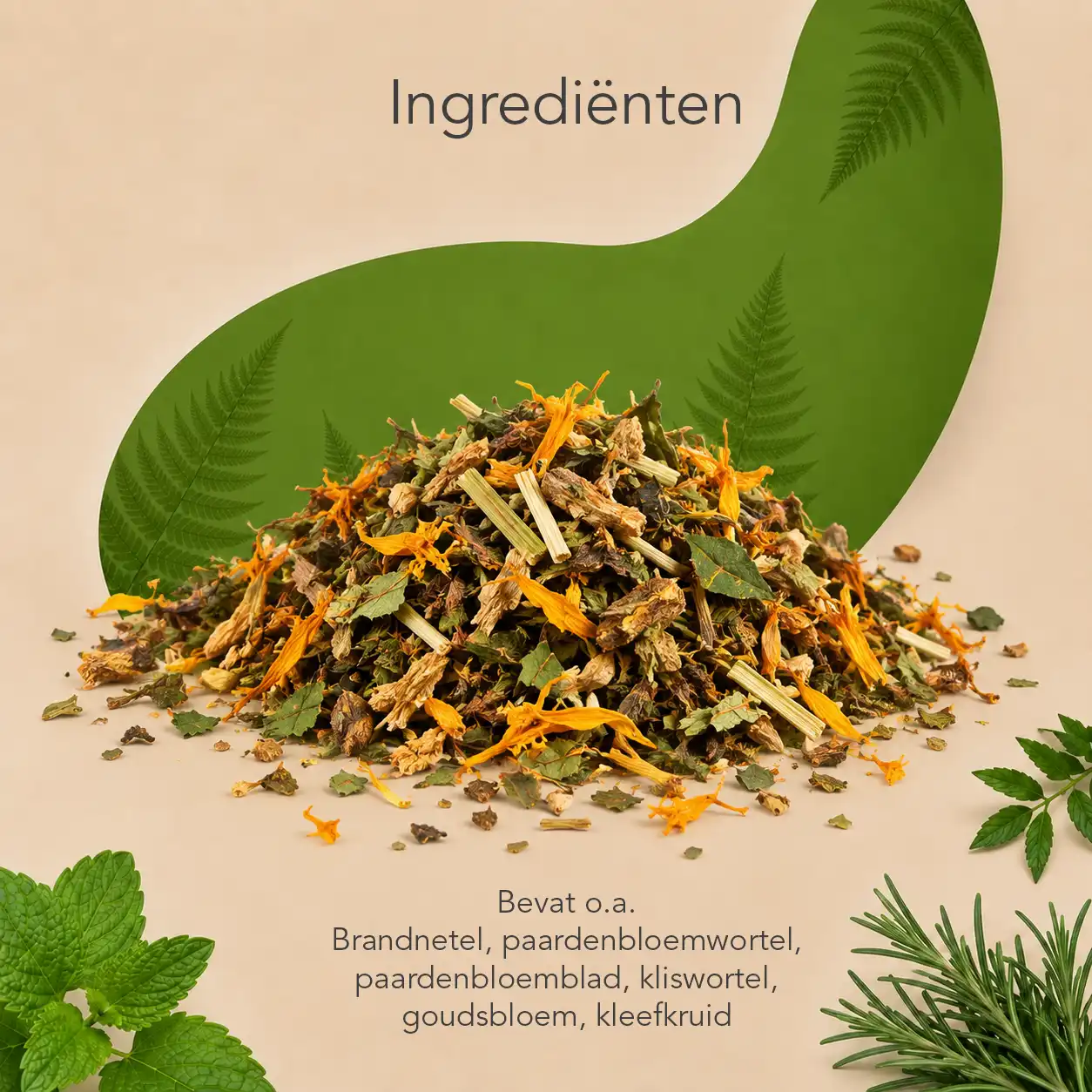 Organimal Allergiekruiden - Afbeelding 3