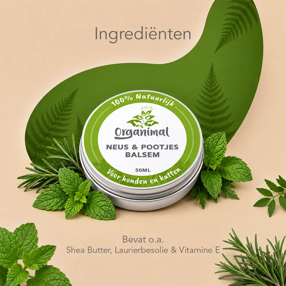 Organimal Neus & Pootjes Balsem - Hond - Afbeelding 3