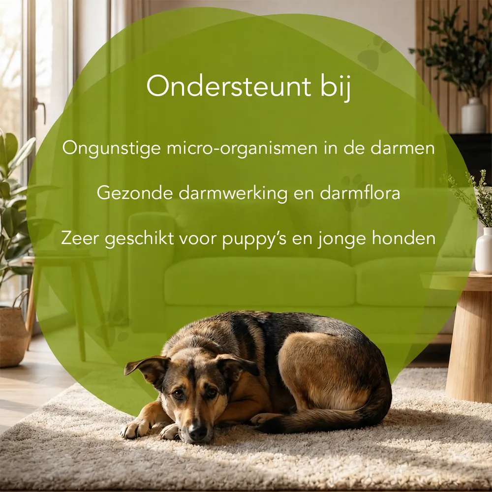 Organimal Gia Control - Honden - Afbeelding 3