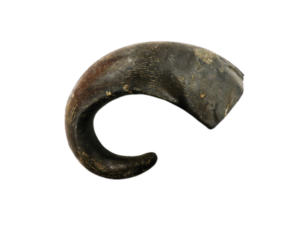 Organimal Buffelhoorn