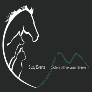 Suzy Everts: Osteopathie, Acupunctuur en Dry Needling