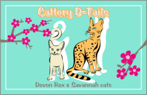 Catterry D-tails