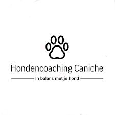 Hondencoaching Caniche