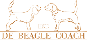 De Beagle Coach