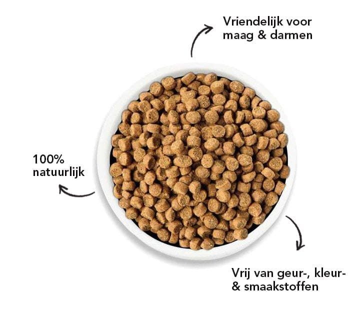 Kat Sensitive voor katten