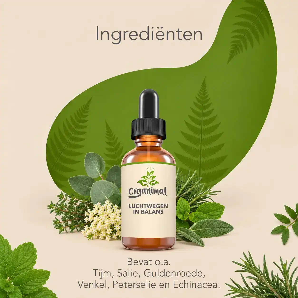 Organimal Luchtwegen in Balans - Katten - Afbeelding 3