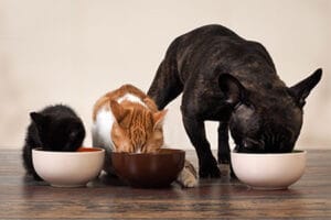 Supplementen geven