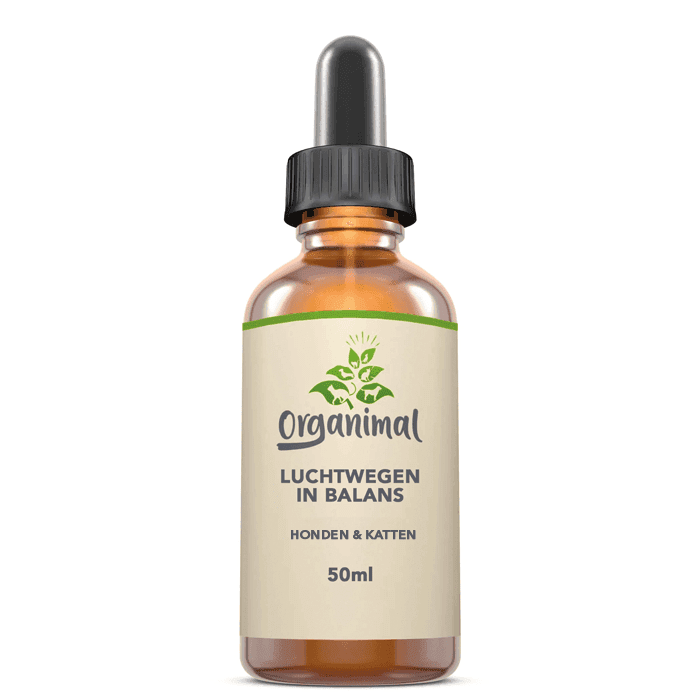 Luchtwegen in Balans