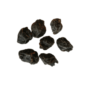 Organimal Konijnenlong Trainers