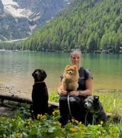 Dogs by Eva