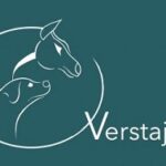 Verstajem