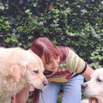 Steltenpool Hondengedragstherapie