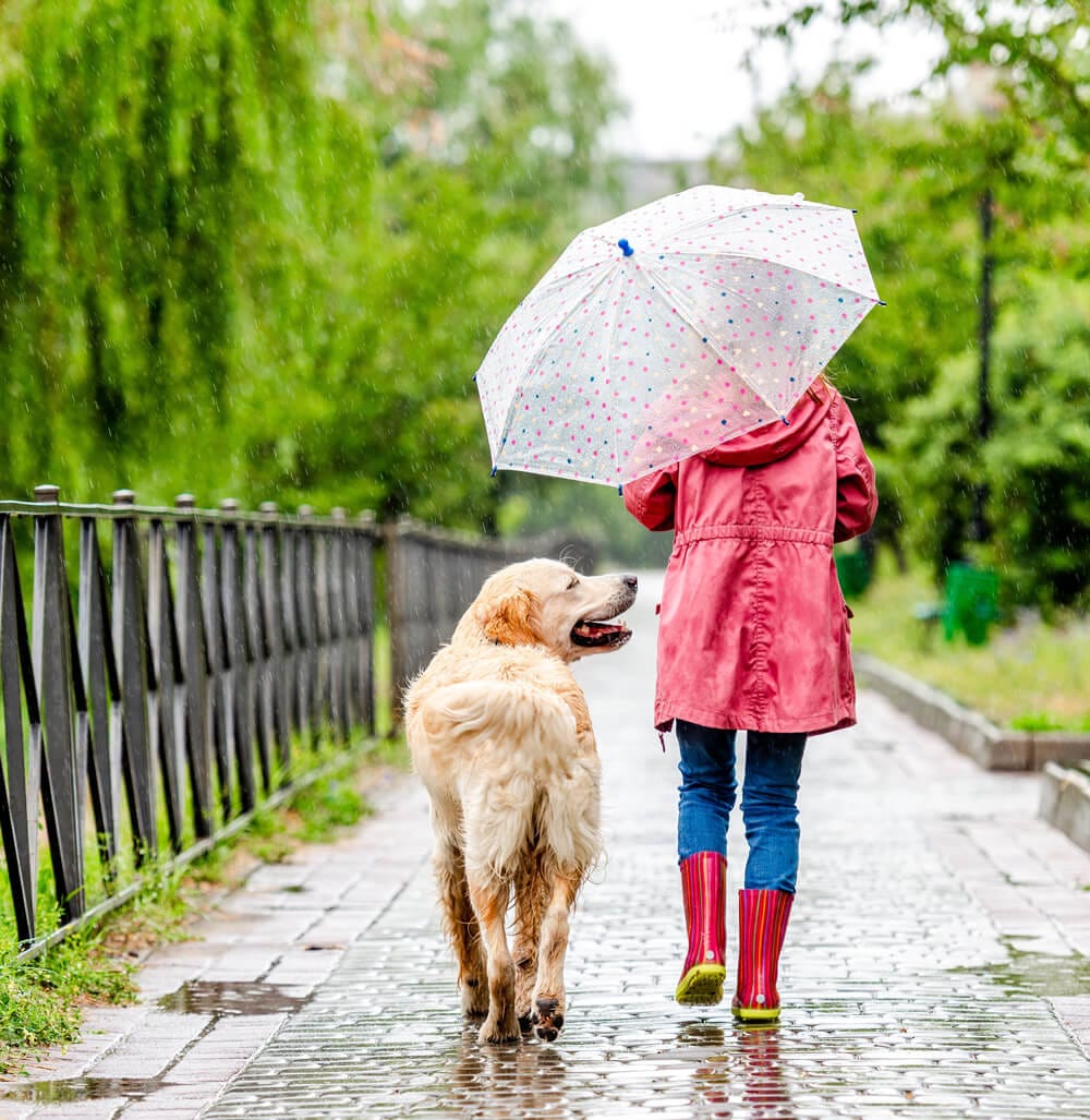Hond en baasje wandelen samen in de regen